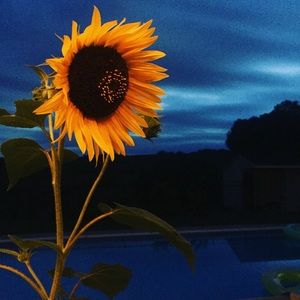 Meet your Posher, Sue